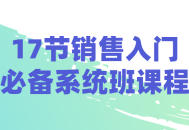 17节销售入门训练营，助您轻松掌握必备技能