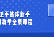 如何成为篮球高手,张卫平带你领略篮球世界【全新教程】