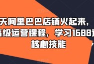 1688高级运营课,深度学习核心技巧