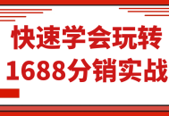 学习如何迅速成为1688分销实战高手