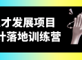 培养未来之星,人才发展项目实战训练营