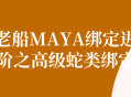 MAYA老船高级蛇类绑定,进阶技巧揭秘