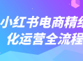 小红书电商精细化运营全流程,深度剖析、精准描绘