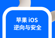 探索iOS逆向与安全,精通分析技能