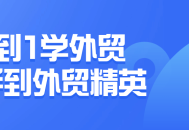 从外贸新手到外贸精英,掌握成功的突破之道