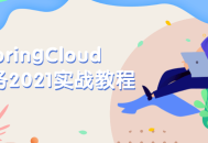 2021年SpringCloud微服务实战攻略-深入实践与应用