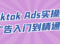 Tiktok广告营销,实战入门，熟练精通