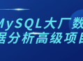 大厂MySQL数据分析高级项目,探秘数据库魔力