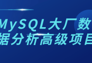 大厂MySQL数据分析高级项目,探秘数据库魔力