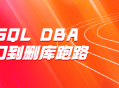 MySQL DBA: 从小白到运维大神，一路删库跑路