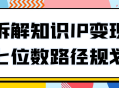 IP变现七位数路径规划,解密如何实现财富增长