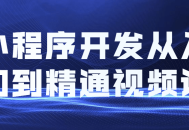 小程序开发的精彩探索,从零起步到技艺纵横视频教程