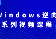 Windows系统逆向精品视频教程