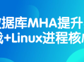 提升你的实战技能,深入探寻MHA数据库管理与Linux进程核心