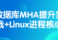 提升数据库MHA实战技能,深入了解Linux进程核心