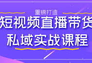 私域流量变现,短视频直播带货实战课程