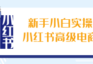 掌握小红书高级电商技巧，新手小白也能轻松上手