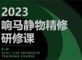 响马学院2023静物摄影精修研修班