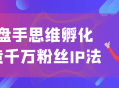 打造千万粉丝IP,操盘手思维的孵化艺术