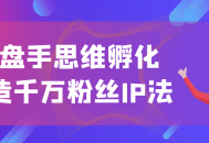 打造千万粉丝IP,操盘手思维的孵化艺术