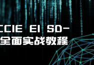 思科CCIE EI SD-WAN深度实战指南