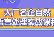 掌握自然语言处理的顶尖企业实战技巧