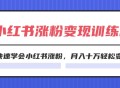 2024 小红书 19 天涨粉变现特训营来袭，助力你快速掌握小红书涨粉之道，让月入十万轻松变现成为现实（共计 42 节）