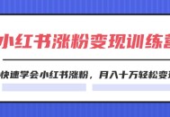 2024 小红书 19 天涨粉变现特训营来袭，助力你快速掌握小红书涨粉之道，让月入十万轻松变现成为现实（共计 42 节）