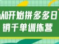 从零起步，掌握拼多多日销千单的秘诀