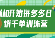 从零起步，掌握拼多多日销千单的秘诀