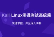 Kali Linux高级渗透测试技巧大揭秘