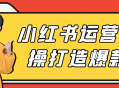 小红书运营实战,打造爆炸性人气产品