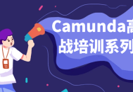 Camunda高级实战技巧大揭秘 - 系列教程火热上线