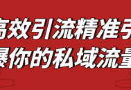 点燃你的私域流量,高效精准引流的秘诀