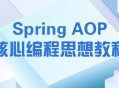 精通Spring AOP核心编程,一场充满活力的教学之旅