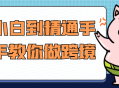 从零基础到专业水准，逐步指导您掌握跨境运营的技巧