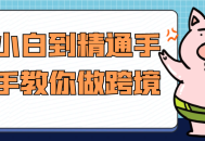 从零基础到专业水准，逐步指导您掌握跨境运营的技巧