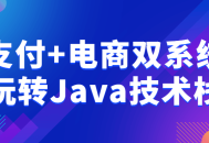 玩转Java技术栈,融合支付和电商双系统，开启创新之旅