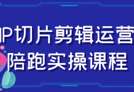 IP切片剪辑运营实战课,跟着专业讲师一起实操提升技能