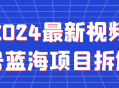 2024年最新视频号蓝海项目深度解析