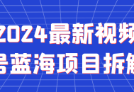 2024年最新视频号蓝海项目深度解析